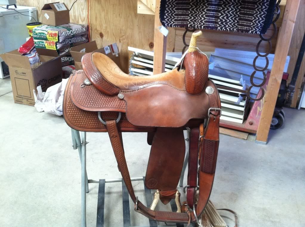 Why do western saddles hurt? The Horse Forum